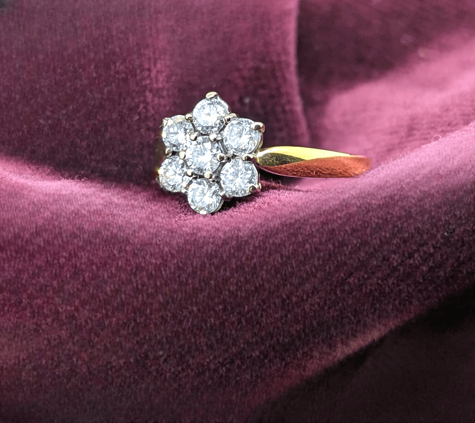 Photoroom-20240227_123051