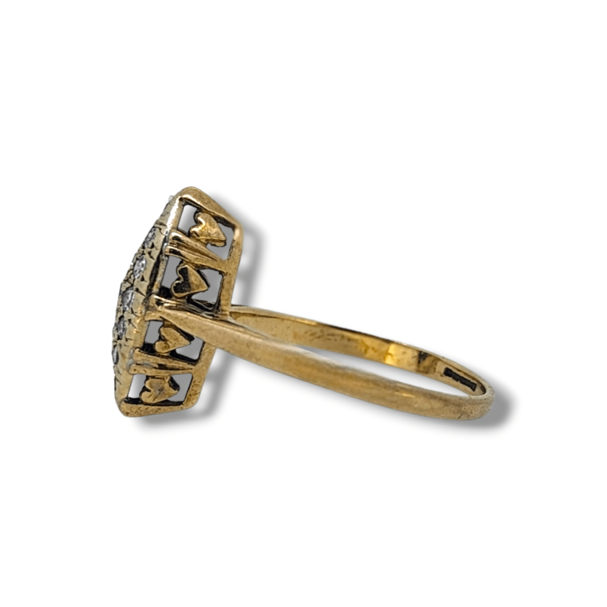 Photoroom-20240222_145909