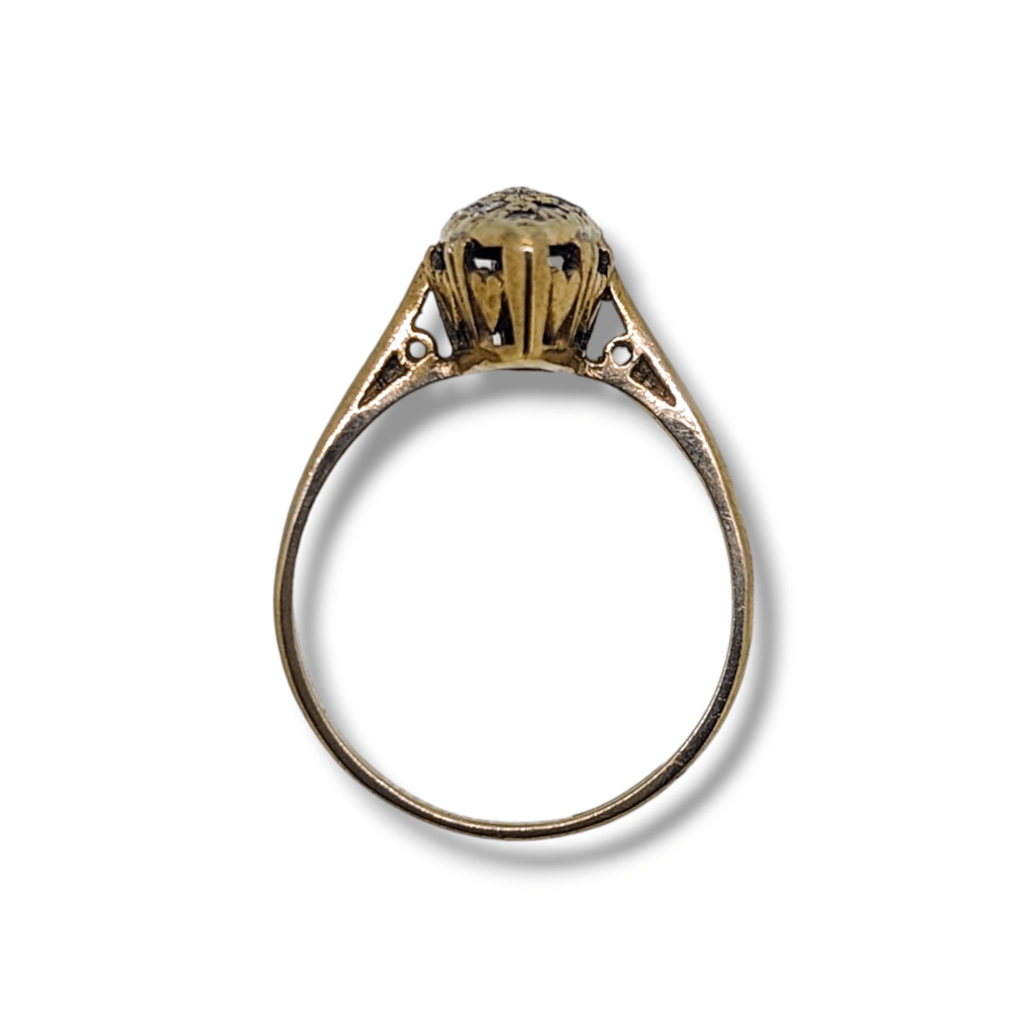 Photoroom-20240222_150013