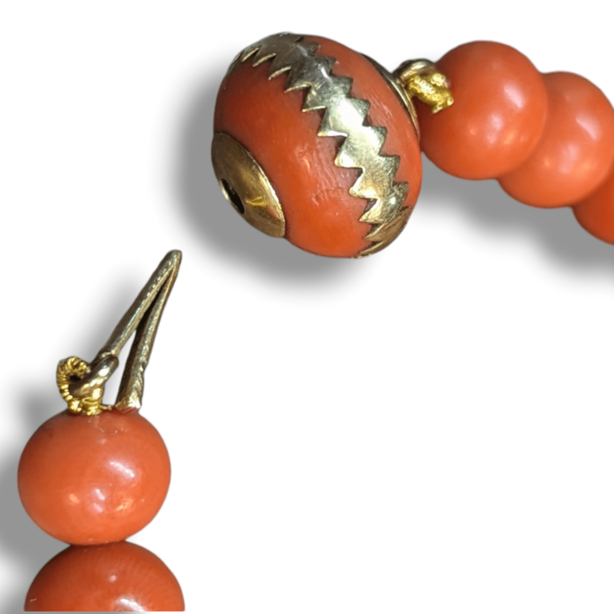 Photoroom-20241105_092849