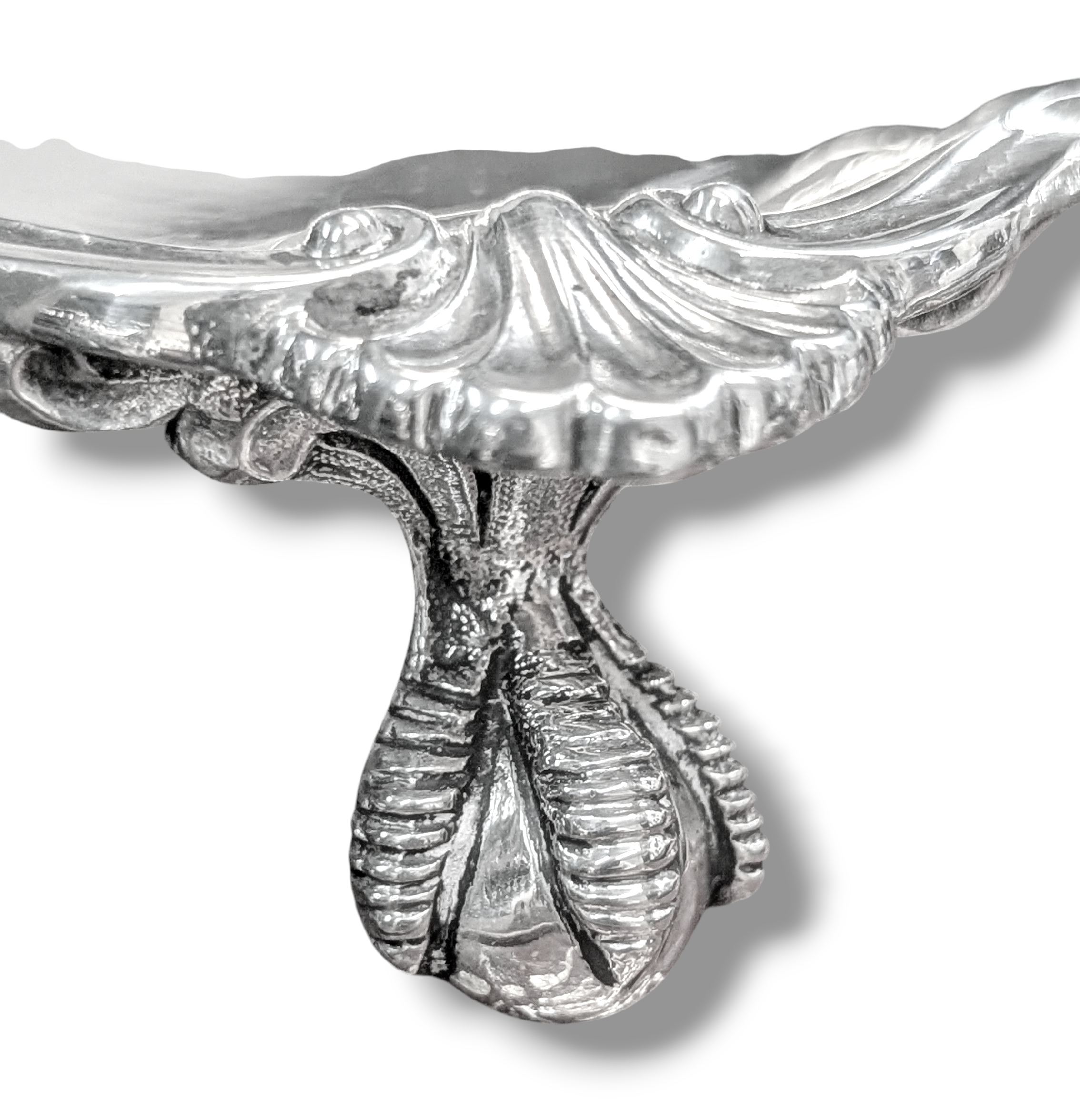 PXL_20250626_101951842.PORTRAIT.ORIGINAL~2